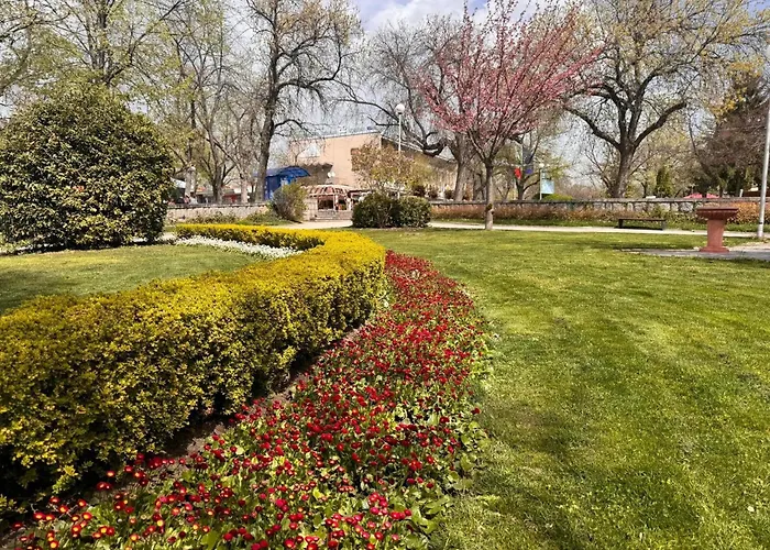 شقة лазарови *