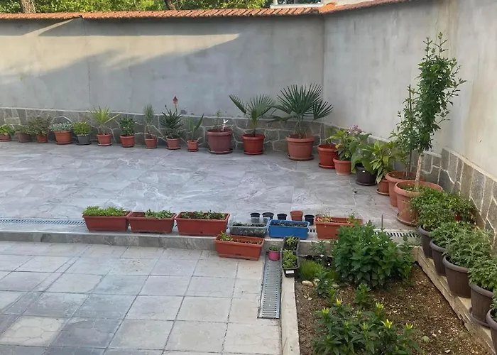 лазарови Chisaria